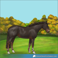 Horse Color:Liver Chestnut  and Liver Chestnut 