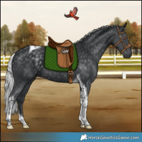 Horse Color:Silver Black Chinchilla Tobiano Rabicano