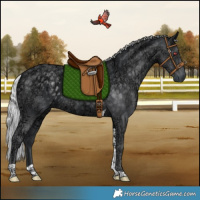 Horse Color:Silver Black Chinchilla Ice Tobiano Rabicano 