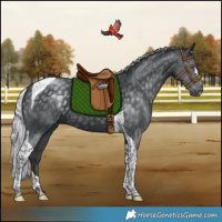 Horse Color:Silver Black Chinchilla Tobiano 