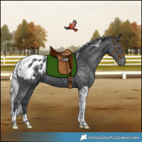 Horse Color:Silver Black Chinchilla Tobiano Blanket Rabicano 