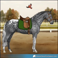 Horse Color:Silver Black Chinchilla Tobiano 