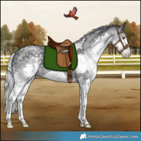 Horse Color:Silver Black Chinchilla Splash Tobiano Rabicano 