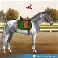 Horse Color:Silver Black Chinchilla Tobiano Rabicano 