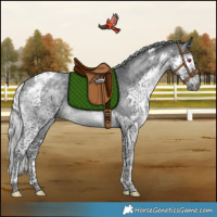 Horse Color:Silver Black Chinchilla Splash Tobiano Rabicano 