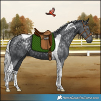 Horse Color:Silver Black Chinchilla Tobiano 