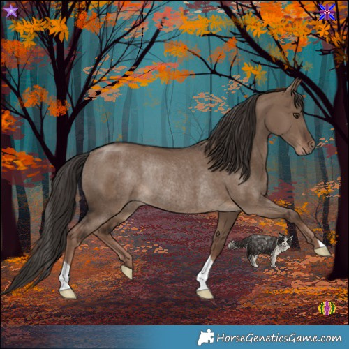 Horse Color:Liver Red Dun Rabicano 