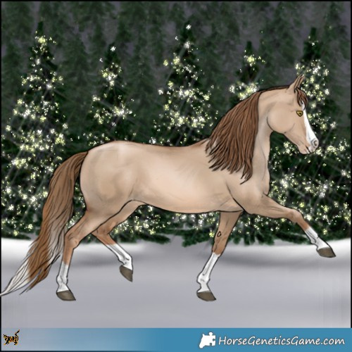 Horse Color:Liver Red Dun Pearl Splash