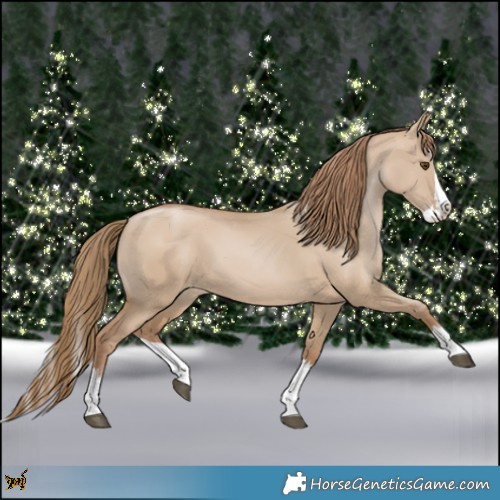 Horse Color:Grullo Pearl Splash 