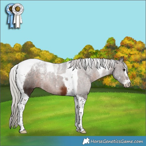 Horse Color:Powder White Silver Brown Tobiano 