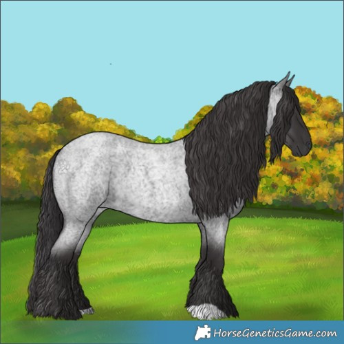 Horse Color:Smoky Blue Roan 
