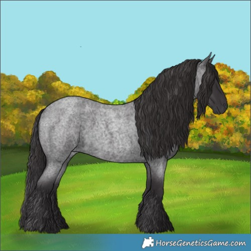 Horse Color:Smoky Blue Roan 