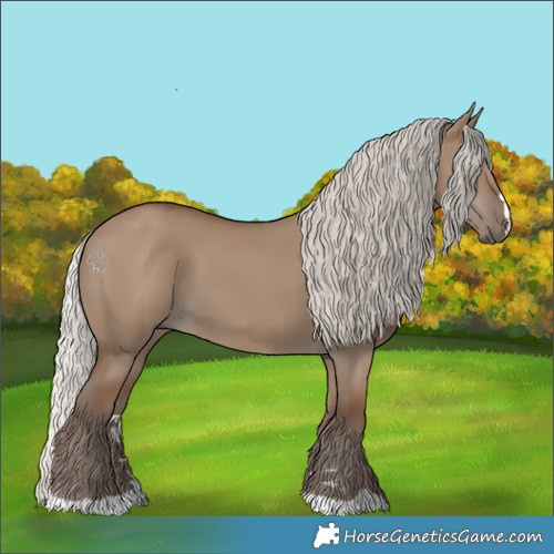 Horse Color:Silver Grullo