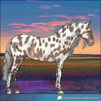 Horse Color:Silver Brown Dun Tobiano Near Leopard