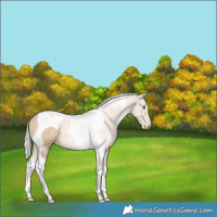 Horse Color:Silver Smoky Creme Tobiano