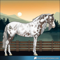 Horse Color:Silver Black Tobiano Near Leopard 