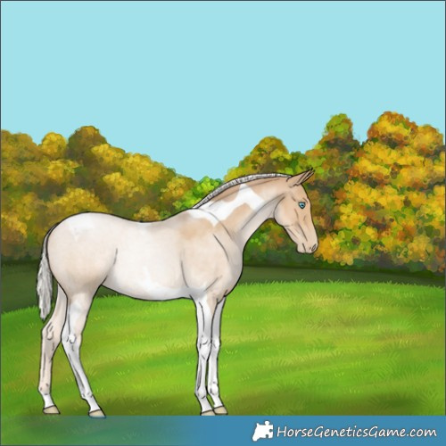 Horse Color:Silver Smoky Black Pearl Tobiano 