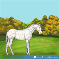 Horse Color:Silver Smoky Black Pearl Tobiano Leopard