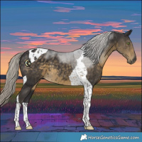Horse Color:Silver Smoky Black Tobiano