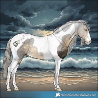 Horse Color:Silver Buckskin Tobiano 