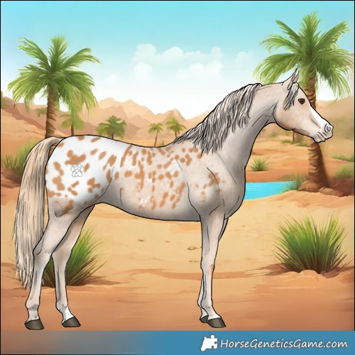 Horse Color:Chestnut Splash Blanket 