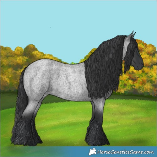 Horse Color:Blue Roan