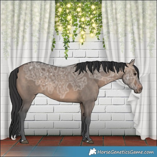 Horse Color:Brown Ice Dun 