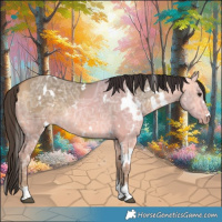 Horse Color:White Spotted Buckskin Ice Dun 