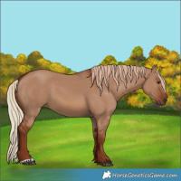 Horse Color:Red Dun 