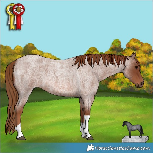 Horse Color:Red Roan Tobiano 