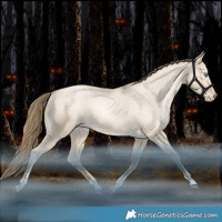 Horse Color:Grullo Snowdrop Tobiano Varnish Rabicano