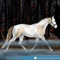 Horse Color:Brown Snowdrop Dun Splash Tobiano Rabicano 