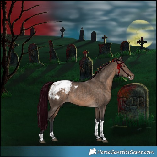Horse Color:Brown Dun Tobiano Appaloosa Rabicano 