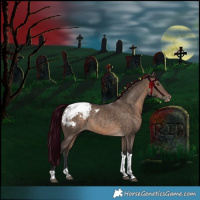 Horse Color:Brown Dun Tobiano Snowcap Rabicano