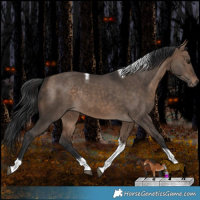 Horse Color:Bay Dun Tobiano Rabicano 