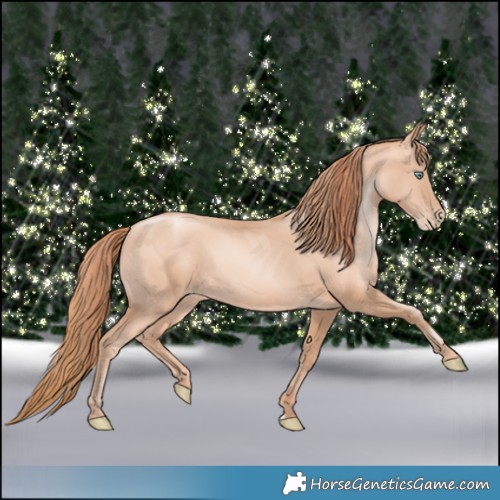 Horse Color:Amber Champagne Pearl Rabicano and Gold Champagne Pearl Rabicano