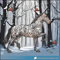 Horse Color:Brown Snowflake Varnish  and Bay Blanket 