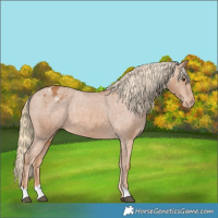 Horse Color:Chestnut Varnish 