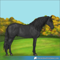 Horse Color:Black 