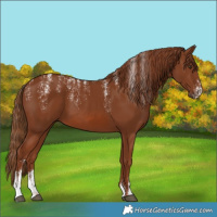 Horse Color:Powder White Chestnut