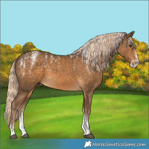 Horse Color:Powder White Chocolate Palomino 