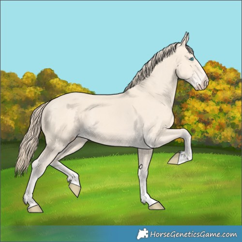 Horse Color:Perlino 