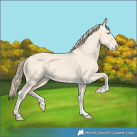 Horse Color:Perlino 