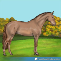 Horse Color:Red Dun