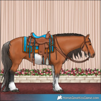 Horse Color:White Spotted Bay 