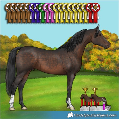 Horse Color:Brown 