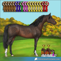 Horse Color:Brown 