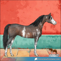 Horse Color:Brown Sabino 