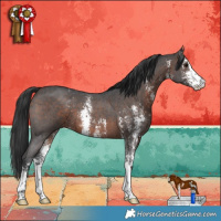 Horse Color:Brown Sabino