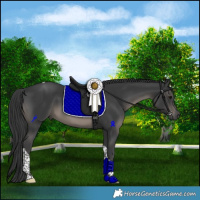 Horse Color:Black Tobiano 